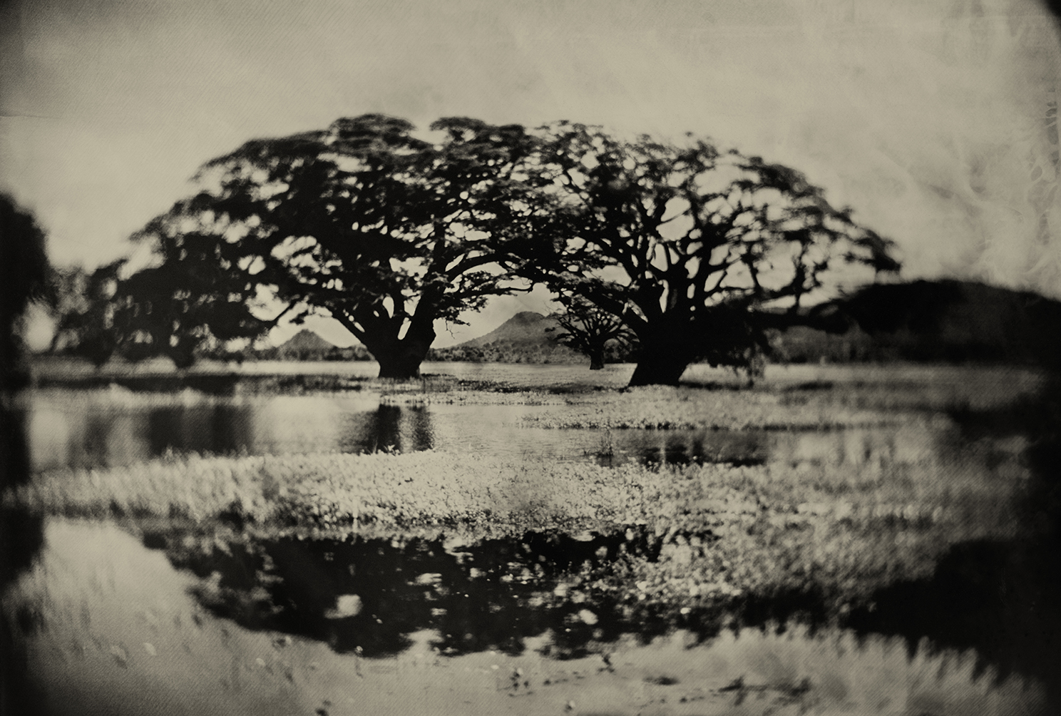 8º 20' 13.196" N 80º 23' 7.26" E